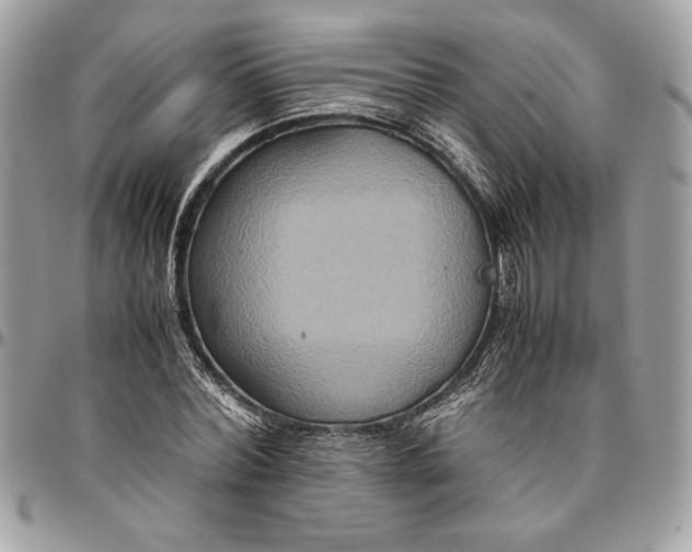 X0000094780780200712071204