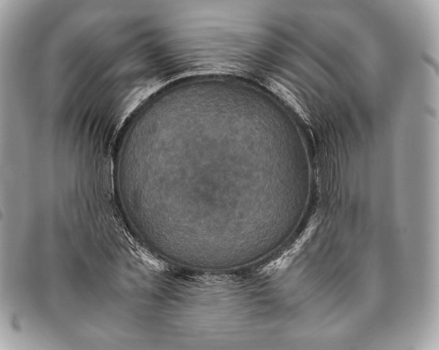 X0000094780781200712071204