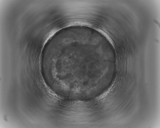 X0000094780783200712071204