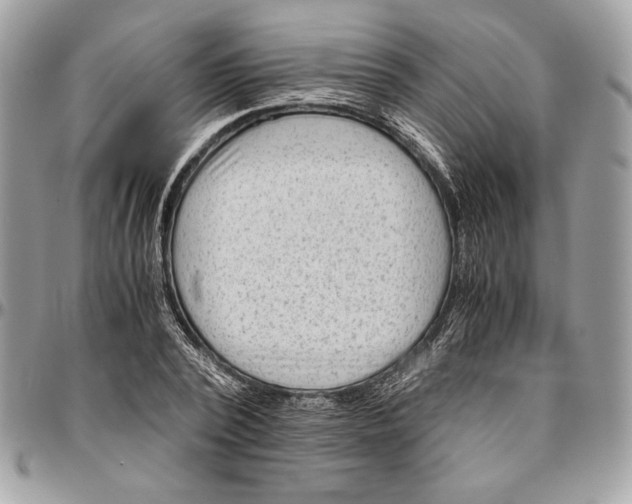 X0000094780784200712071204