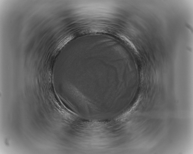 X0000094780785200712071203