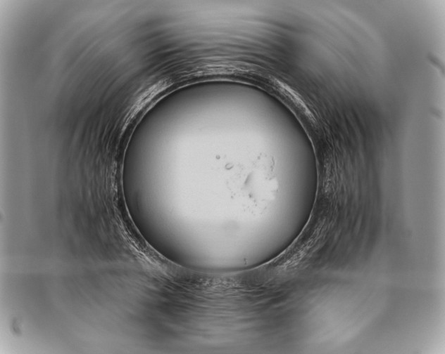 X0000094780786200712071203