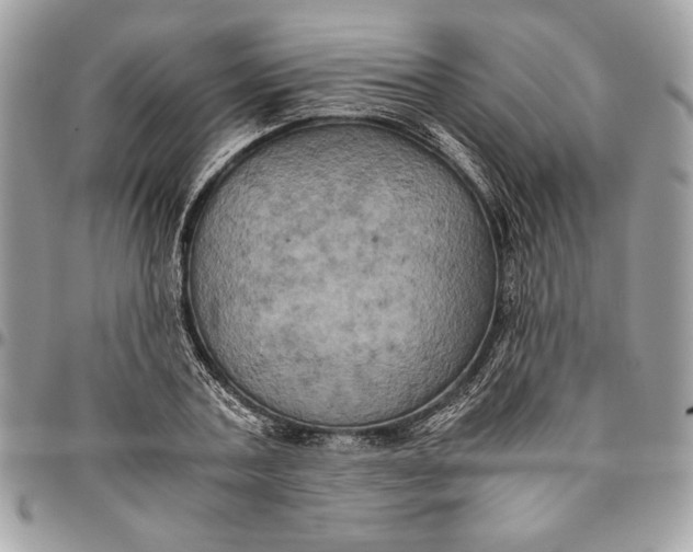 X0000094780787200712071203