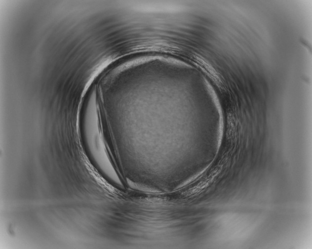 X0000094780788200712071203