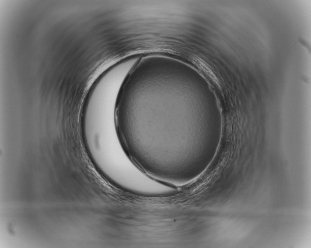 X0000094780789200712071203