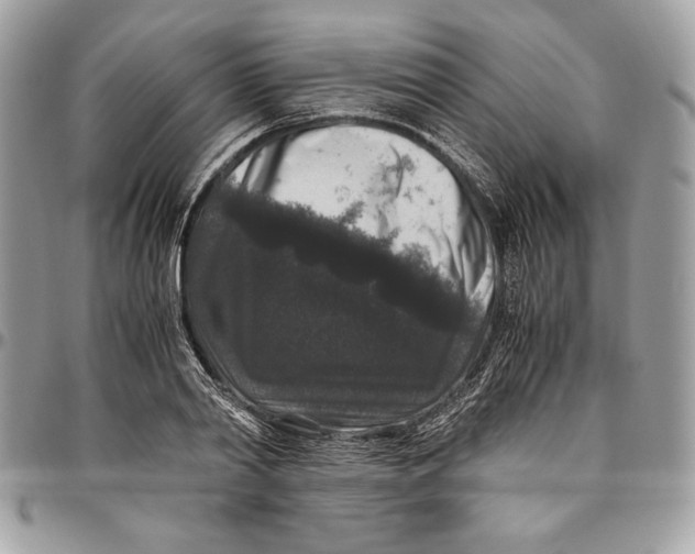 X0000094780790200712071203