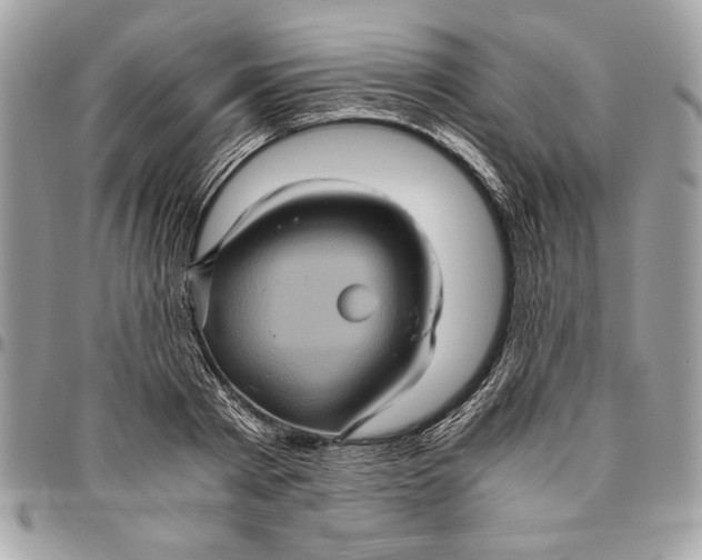 X0000094780793200712071203