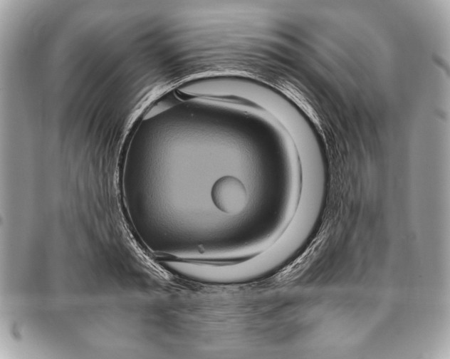 X0000094780797200712071203