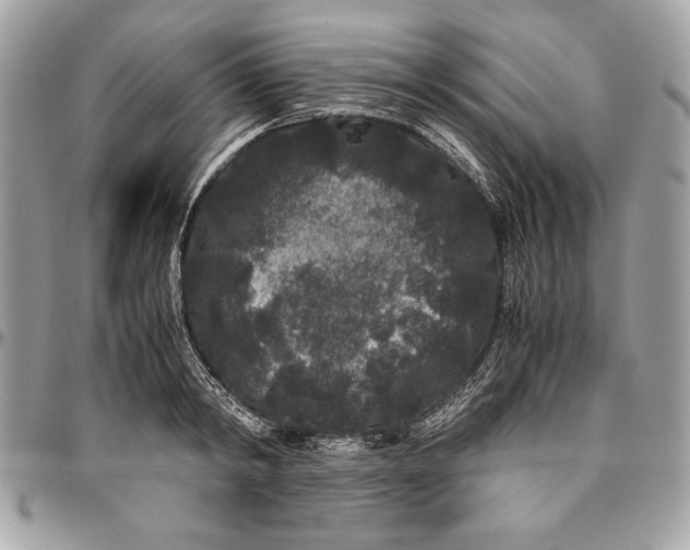 X0000094780798200712071203