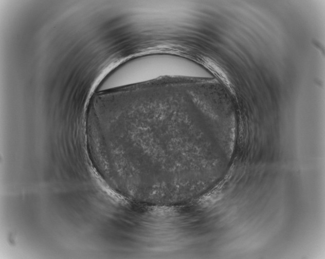 X0000094780800200712071203