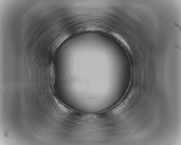 X0000094780801200712071203