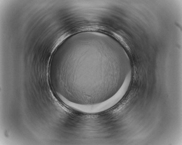 X0000094780802200712071203