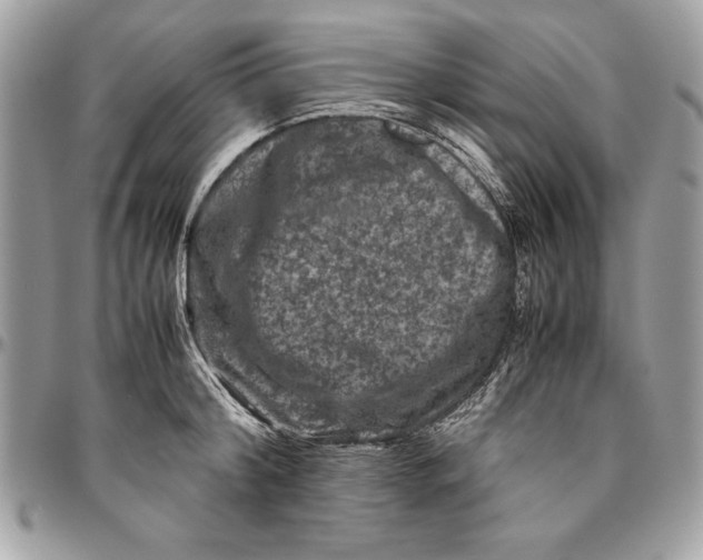 X0000094780804200712071203