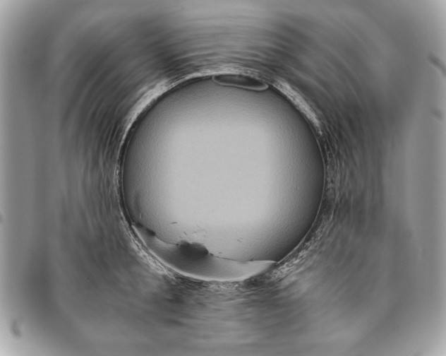 X0000094780805200712071203