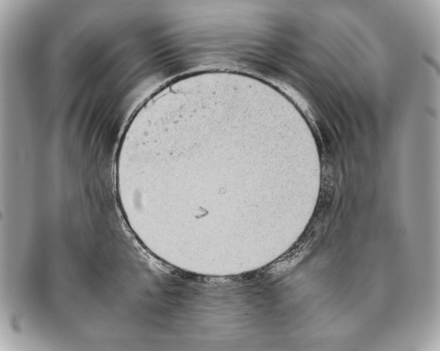 X0000094780807200712071203