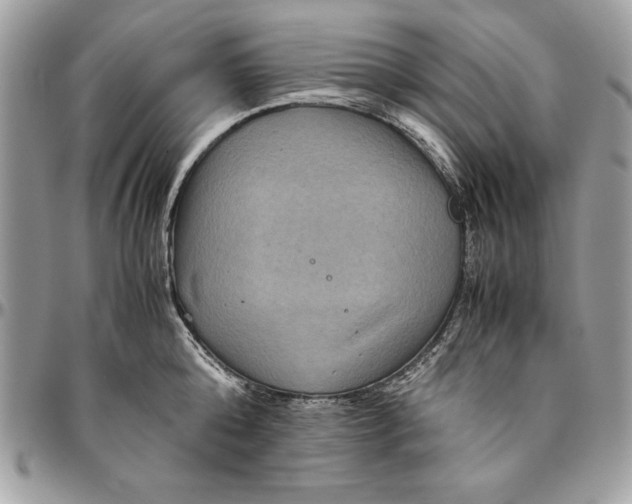 X0000094780808200712071203