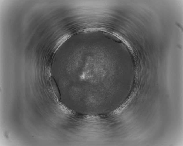 X0000094780809200712071203