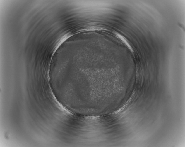 X0000094780810200712071203