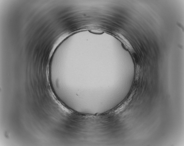 X0000094780812200712071203