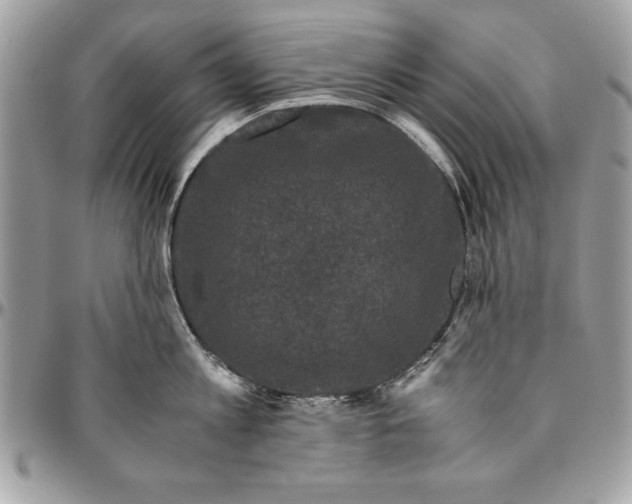 X0000094780813200712071203