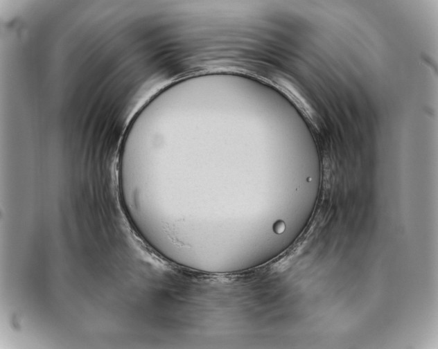 X0000094780814200712071203