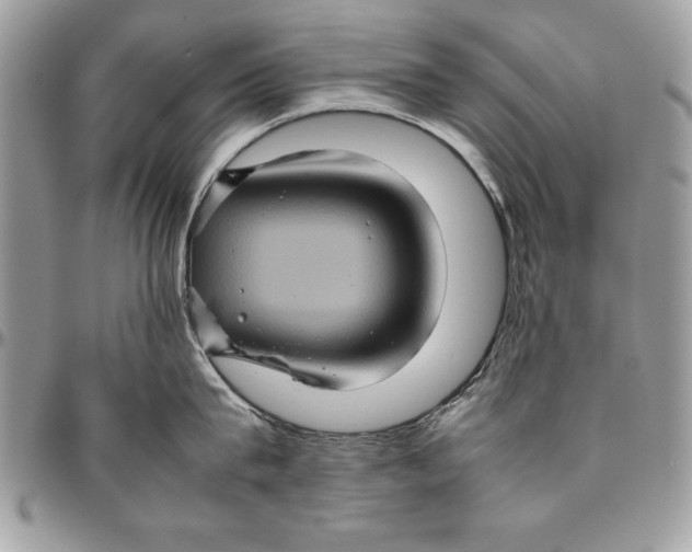 X0000094780815200712071203