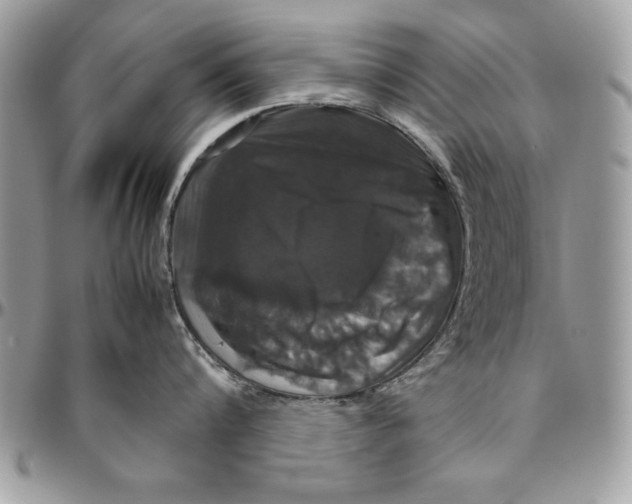 X0000094780816200712071203