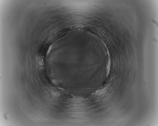 X0000094780818200712071202