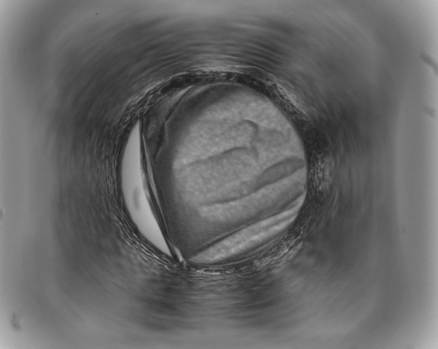 X0000094780821200712071202