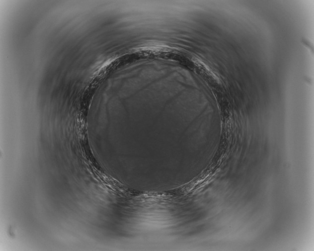 X0000094780822200712071202