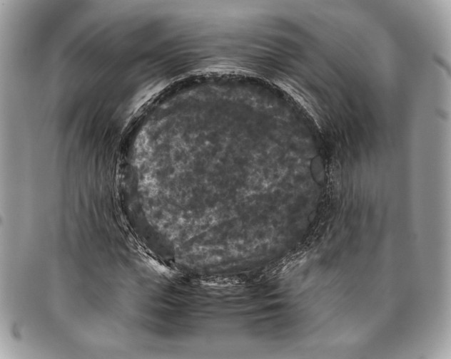 X0000094780823200712071202