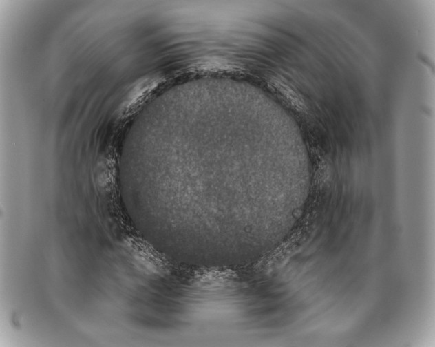 X0000094780824200712071202