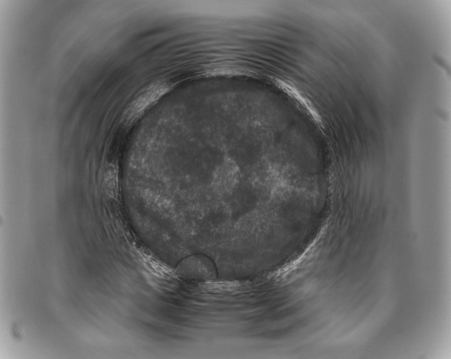 X0000094780825200712071202