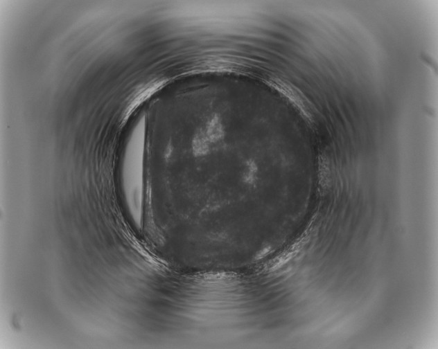 X0000094780826200712071202