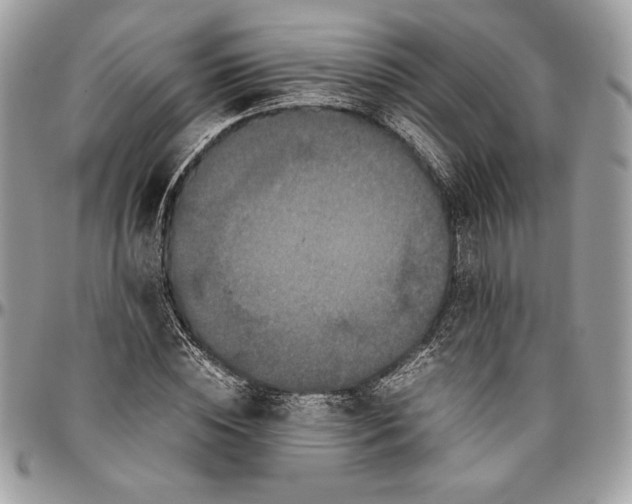 X0000094780828200712071202