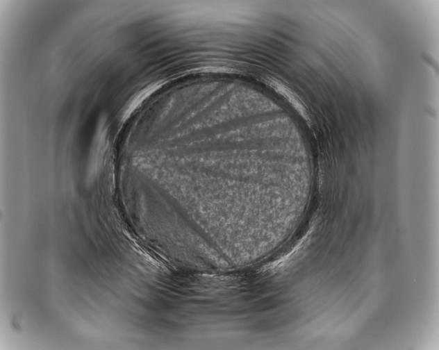 X0000094780829200712071202