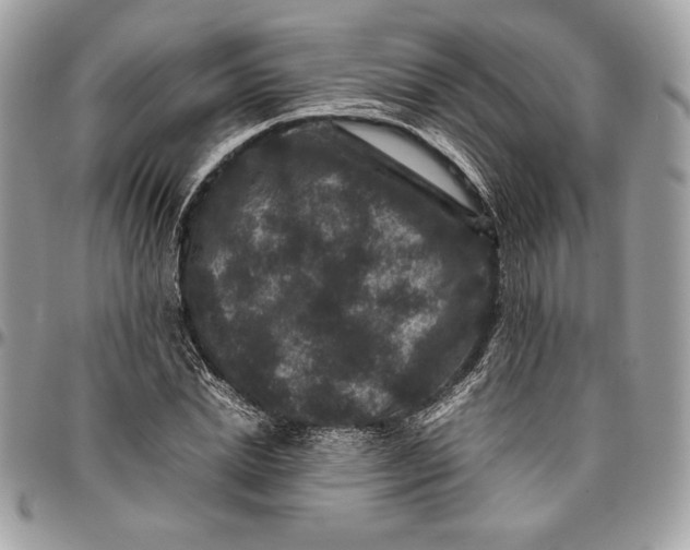 X0000094780830200712071202