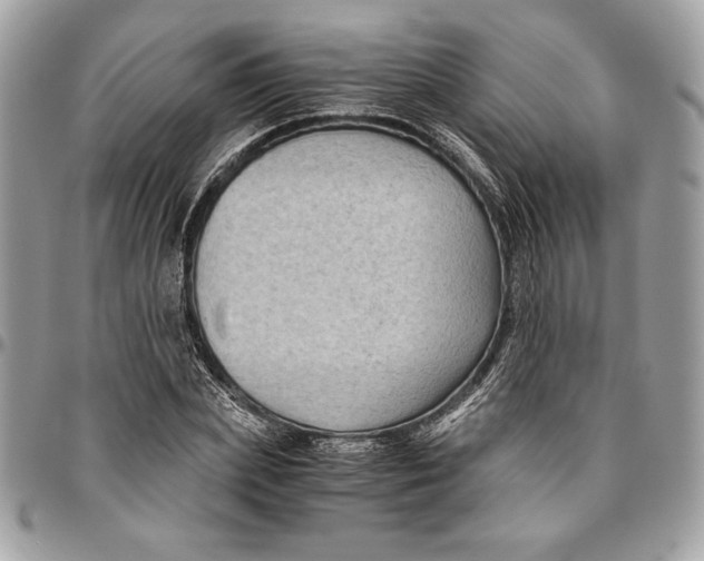 X0000094780831200712071202