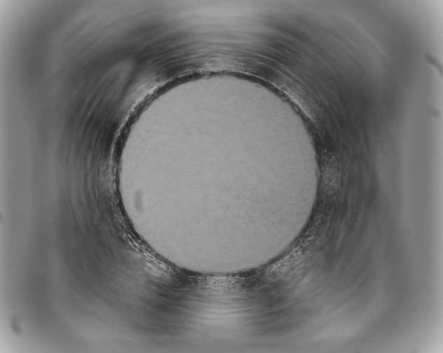 X0000094780832200712071202