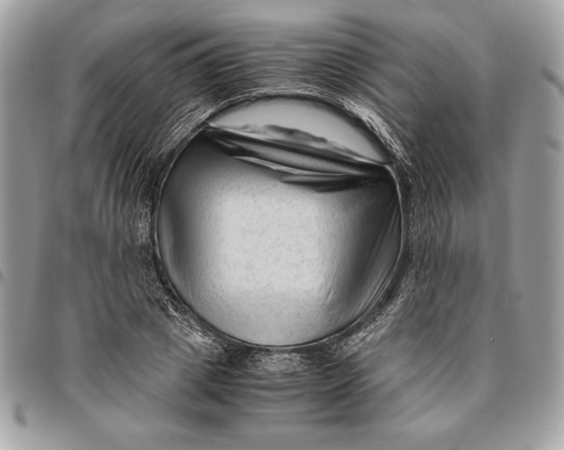 X0000094780833200712071202