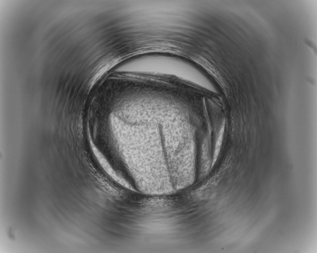 X0000094780834200712071202