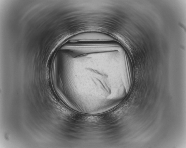 X0000094780835200712071202