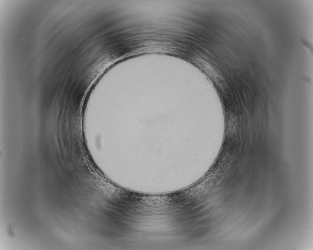 X0000094780836200712071203