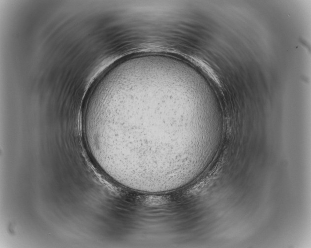 X0000094780839200712071203