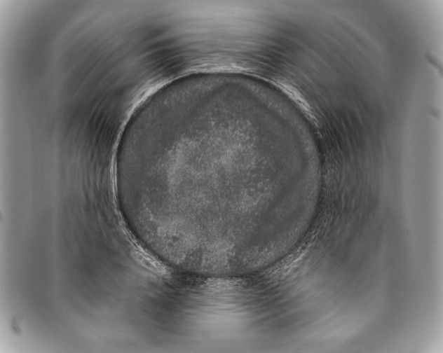 X0000094780840200712071203