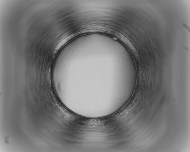 X0000094780842200712071203