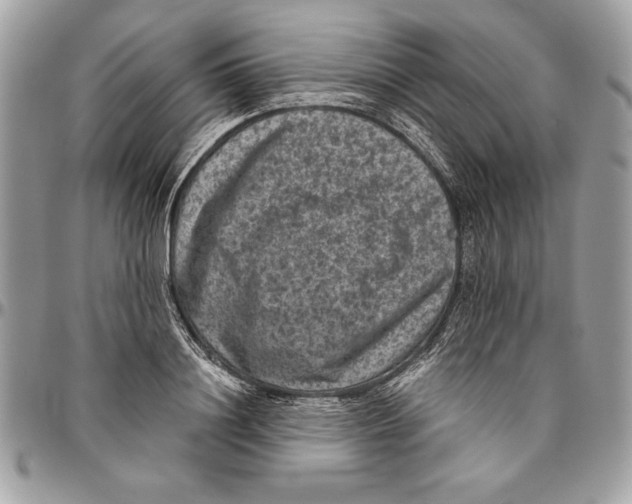 X0000094780844200712071203