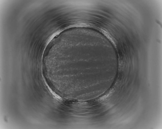 X0000094780845200712071203