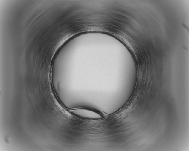 X0000094780847200712071203