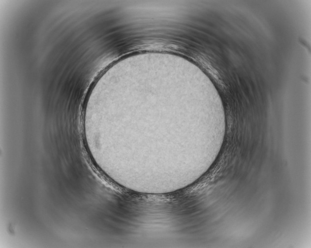 X0000094780848200712071203